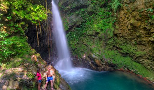Oropendola-Waterfalls-tour