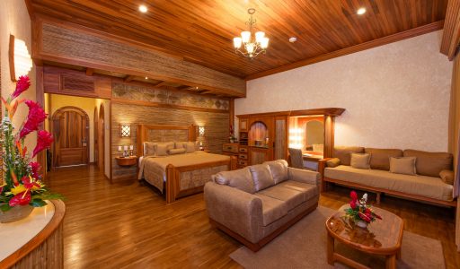 37 vista grande guest room