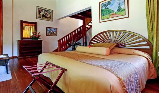 Fondavela-Standard-Comfort-2