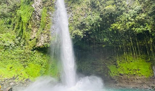 Costa Rica tour for families Things to do in Guanacaste Costa Rica