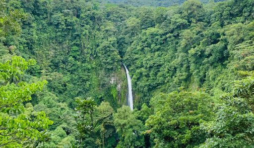 things to do in guanacaste costa rica tours in costa rica guanacaste