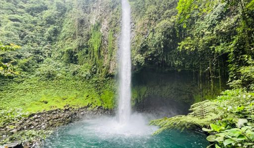 tours in costa rica guanacaste costa rica sloth sanctuary