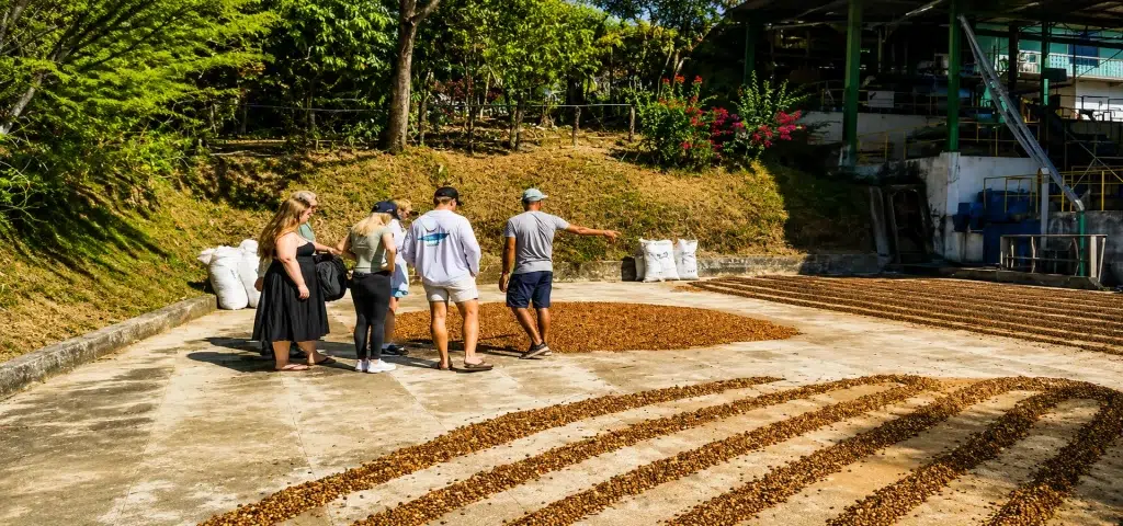 Nicoya Blue Zone Coffee and Pottery Tour