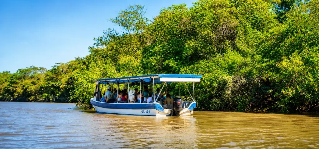 Palo Verde Boat Tour