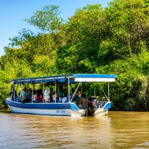 Palo Verde Boat Tour